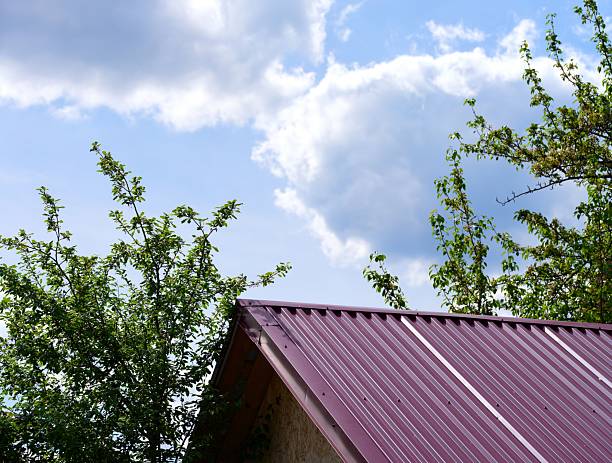 istock Metal rooftop and treetops against a cloudy sky. 2224765879