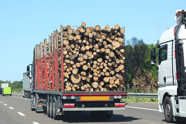 istock trailer truck for transporting cut logs speeding on the highway 2224766399