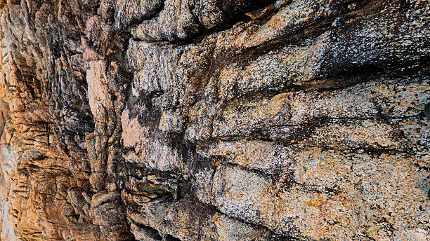 istock Rocky Coastal Terrain With Sparse Vegetation Growing From Cracks. 2224770512