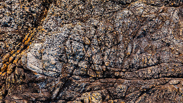 istock Rocky Coastal Terrain With Sparse Vegetation Growing From Cracks. 2224770513