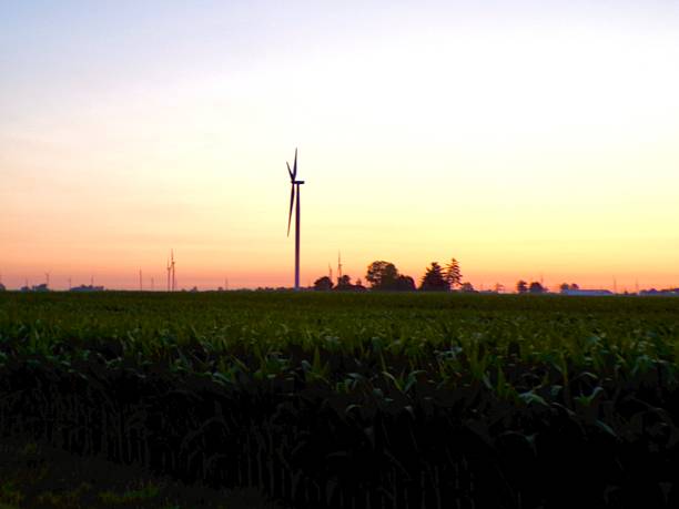 A wind turbine farm produces green energy, supporting eco-friendly practices and sustainable technology in nature.