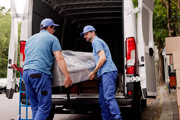 istock Professional Movers Outside Assisting With Furniture Removal 2224774653
