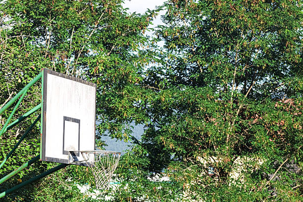 istock Basketball hoop in the garden 2224775755