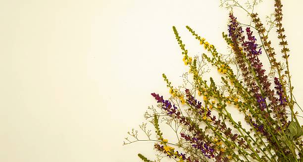 istock Colorful Wildflowers Representing Eco Lifestyle 2224777376