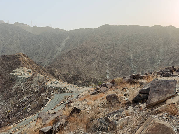 Rocky mountain landscape with a winding path and scattered vegetation under a hazy sky