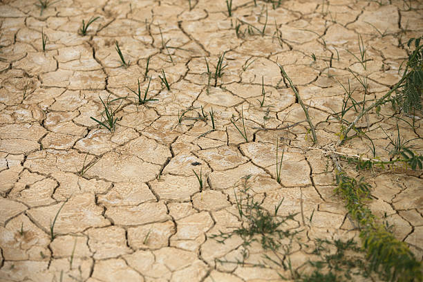 istock Cracked dry earth during a drought in summer 2224787210