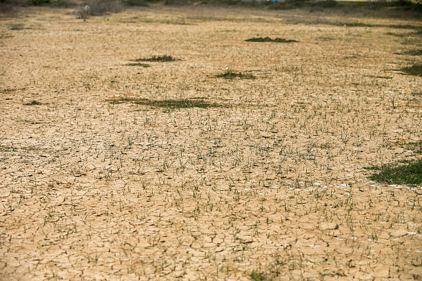 Cracked dry earth during a drought, showing the effects of extreme heat and water shortage in an arid region. Climate change and environmental degradation concept.