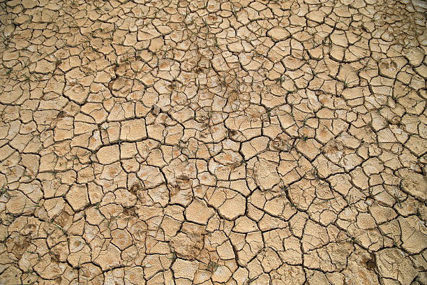 istock Cracked dry earth during a drought in summer 2224787311