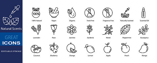 illustrations, cliparts, dessins animés et icônes de web - huiles et essences essentielles