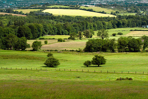 Serene rural landscape featuring vibrant green fields, scattered trees, and gentle rolling hills under a bright sky, suggesting peaceful countryside