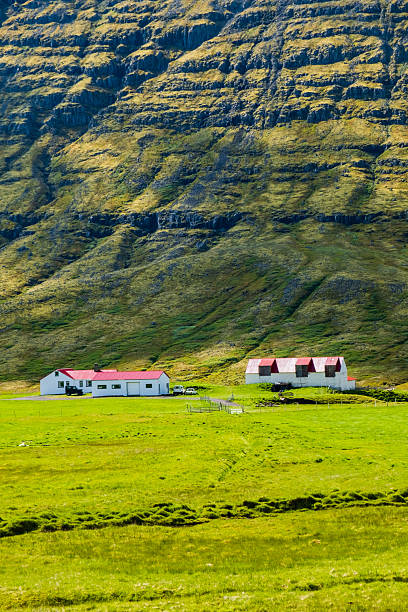 istock Farm under the mountain, Iceland 2224794049