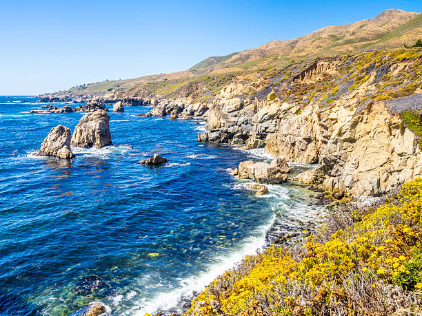 istock Painter's Point on Bluff Trail, Garrapata State Park, California coast view 2224797445