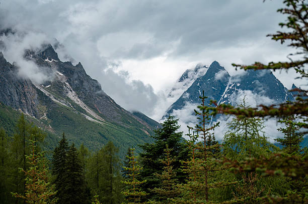 istock Plateau high mountain forest landscape 2224799316