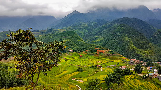 istock Golden Yellow Rice Terraces 2224799631