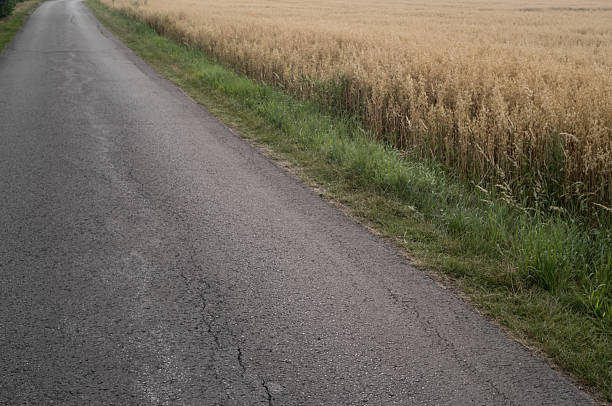 Paved road running near a wheat field in the countryside during summer