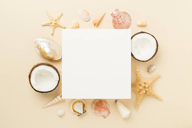 istock Summer banner with coconut and sea shells on color background. Vacation concept 2224801055
