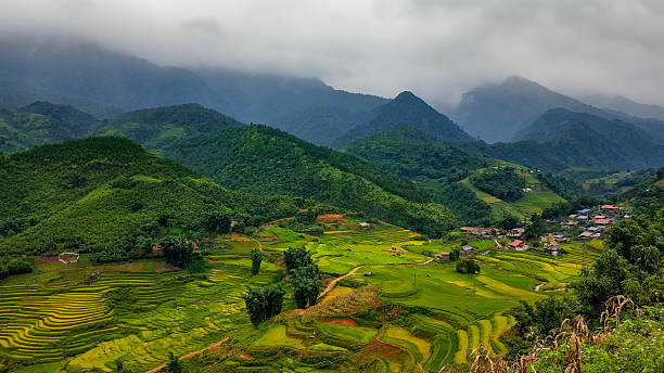 istock Deep Valley of Rice Terraces 2224801076