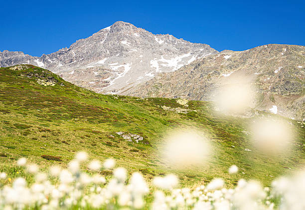 snow covered mountains, the andes mountains, chile.