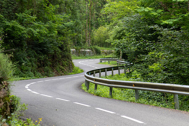 istock Winding road through lush green forest 2224803682