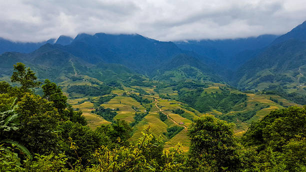 istock Overlooking Rice Terraces in Sa Pa 2224803816