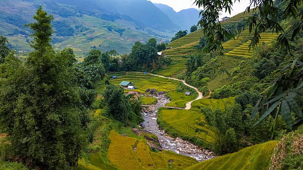 istock Beautiful Setting in Vietnam's Rice Terraces 2224803846