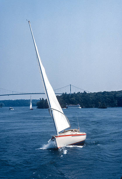 istock Thousand Islands - Sailboat - 1982 2224804044