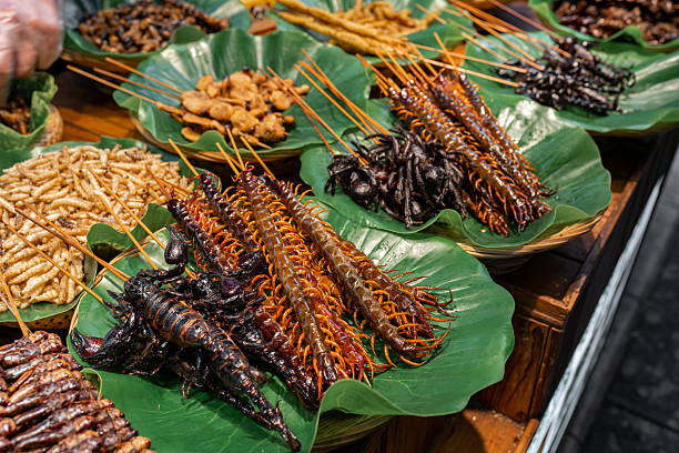 istock Grilled edible insects 2224805135