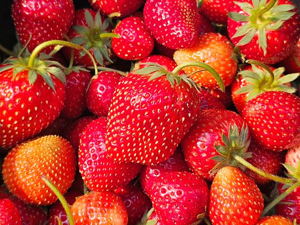 Close-Up of Ripe Juicy Strawberries Showcasing Vibrant Red Texture Ideal for Culinary and Fresh Food Photography