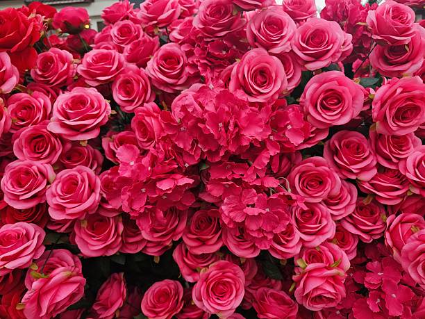 Exquisite Bright Rose Wall Featuring Striking Hydrangea Accents for Romantic Decorations in Any Space