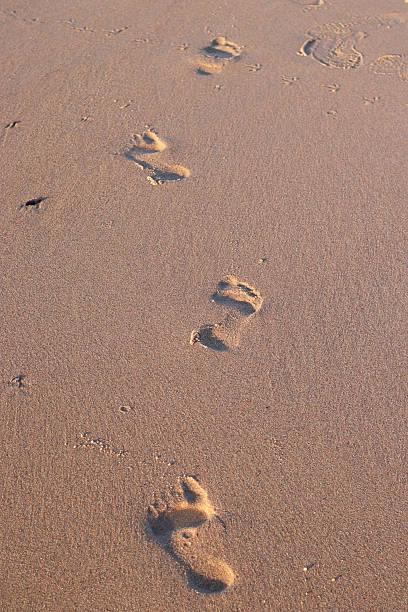 istock Footprints in smooth sand under warm sunlight on the beach. Peaceful natural scene with soft texture and gentle shadows. Ideal for travel, relaxation, postcard, or minimal design use 2224809737