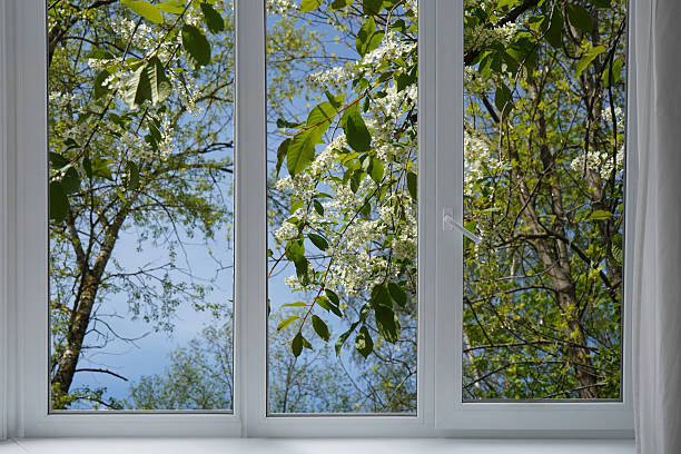 istock View from the window of a park with green trees. 2224810005