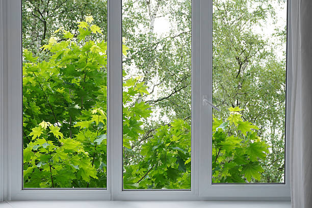 istock View from the window of a park with green trees. 2224810007