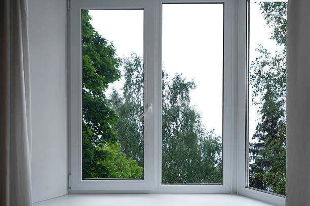 istock View from the window of a park with green trees. 2224810010