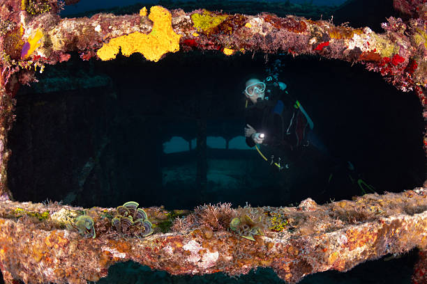 istock Exploring a shipwreck in the Caribbean sea 2224812004