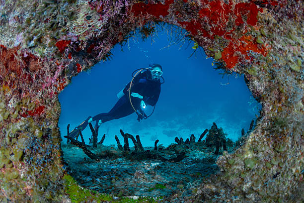 Image of a female diver exploring a shipwreck on Little Cayman Island in the Caribbean sea
