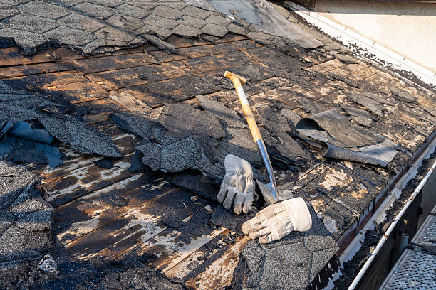 istock Old roofing felt on roof Close-up 2224814193