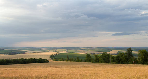 istock A field with trees and a cloudy sky 2224820233