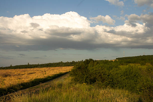 A grassy field with trees and clouds in the sky. Grass. Outdoor. Sky. Field. Cloudy