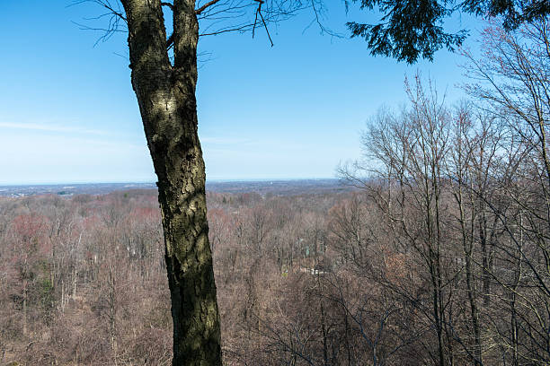 Photo Taken At Raven Rock State Park, Lillington, Harnett County, North Carolina\n\nRaven Rock State Park is a North Carolina state park in Harnett County, North Carolina in the United States. Located near Lillington, North Carolina, it covers 4,810 acres along the banks of the Cape Fear River. Raven Rock State Park is located on the eastern edge of the Piedmont.