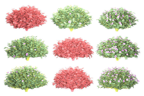 istock Nine digital shrubs show various red and flowering bushes. 2224832570