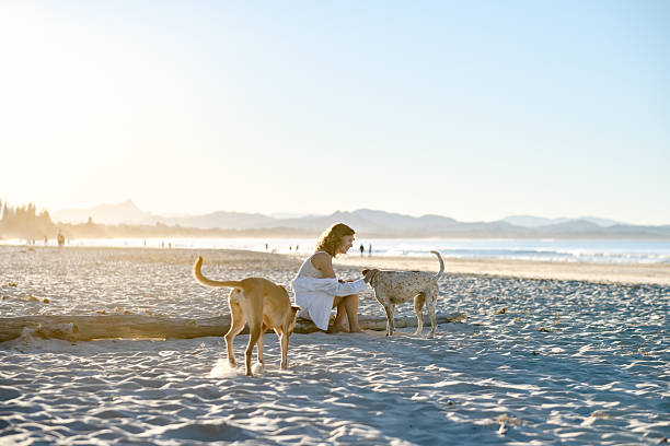 istock woman on beach with dogs 2224833212