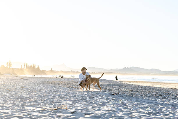 istock Man with dogs on beach 2224834425