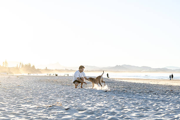 istock Man with dogs on beach 2224834429