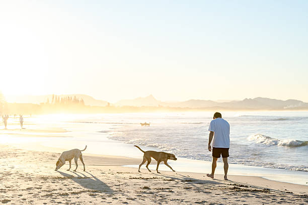 istock Man with dogs on beach 2224834518