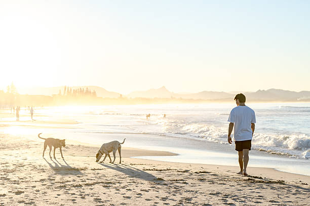 istock Man with dogs on beach 2224834546