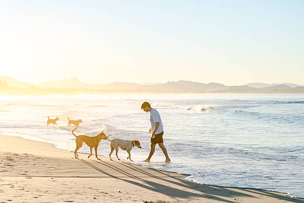 istock Man with dogs on beach 2224834595