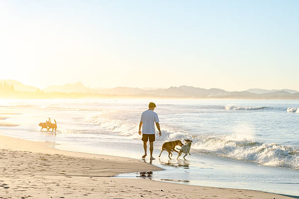 istock Man with dogs on beach 2224834601
