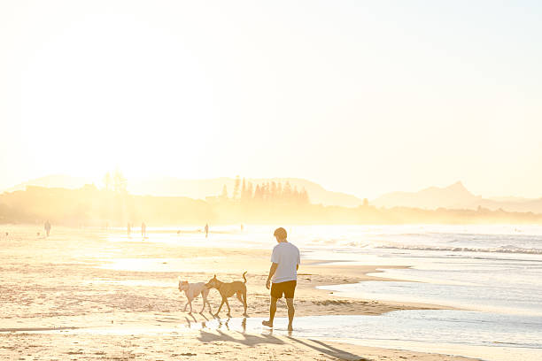 istock Man with dogs on beach 2224834628