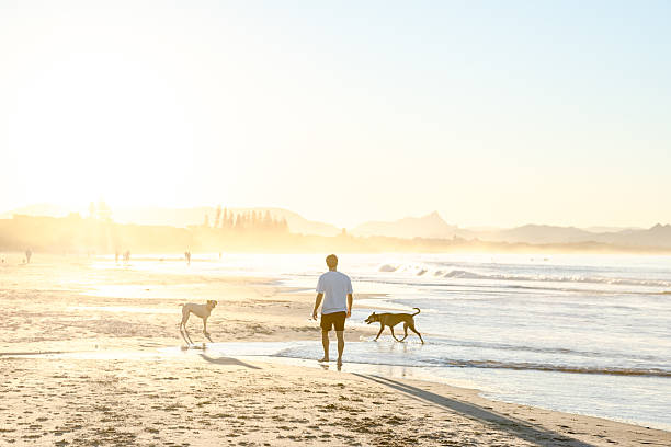 istock Man with dogs on beach 2224834629