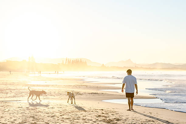 istock Man with dogs on beach 2224834630